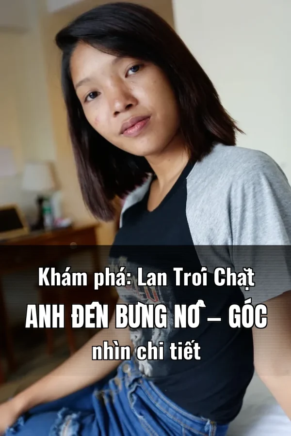 Khám phá: Lan Trói Chặt Anh Đến Bùng Nổ — Góc nhìn chi tiết