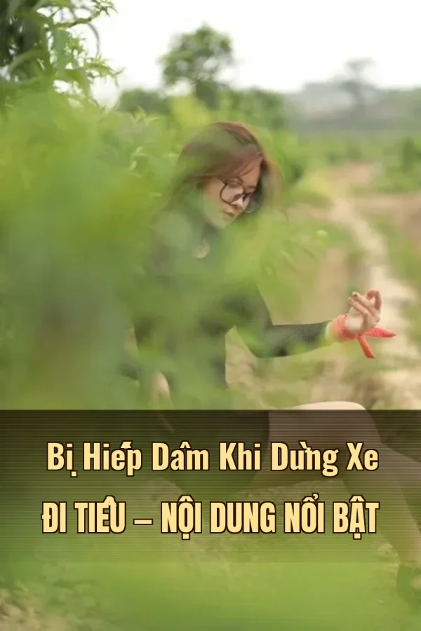 Bị Hiếp Dâm Khi Dừng Xe Đi Tiểu — Nội dung nổi bật