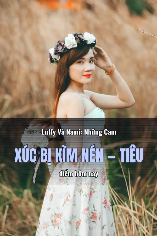 Luffy Và Nami: Những Cảm Xúc Bị Kìm Nén — Tiêu điểm hôm nay